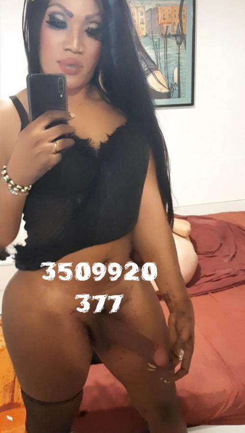 ANACONDA TRANSEX